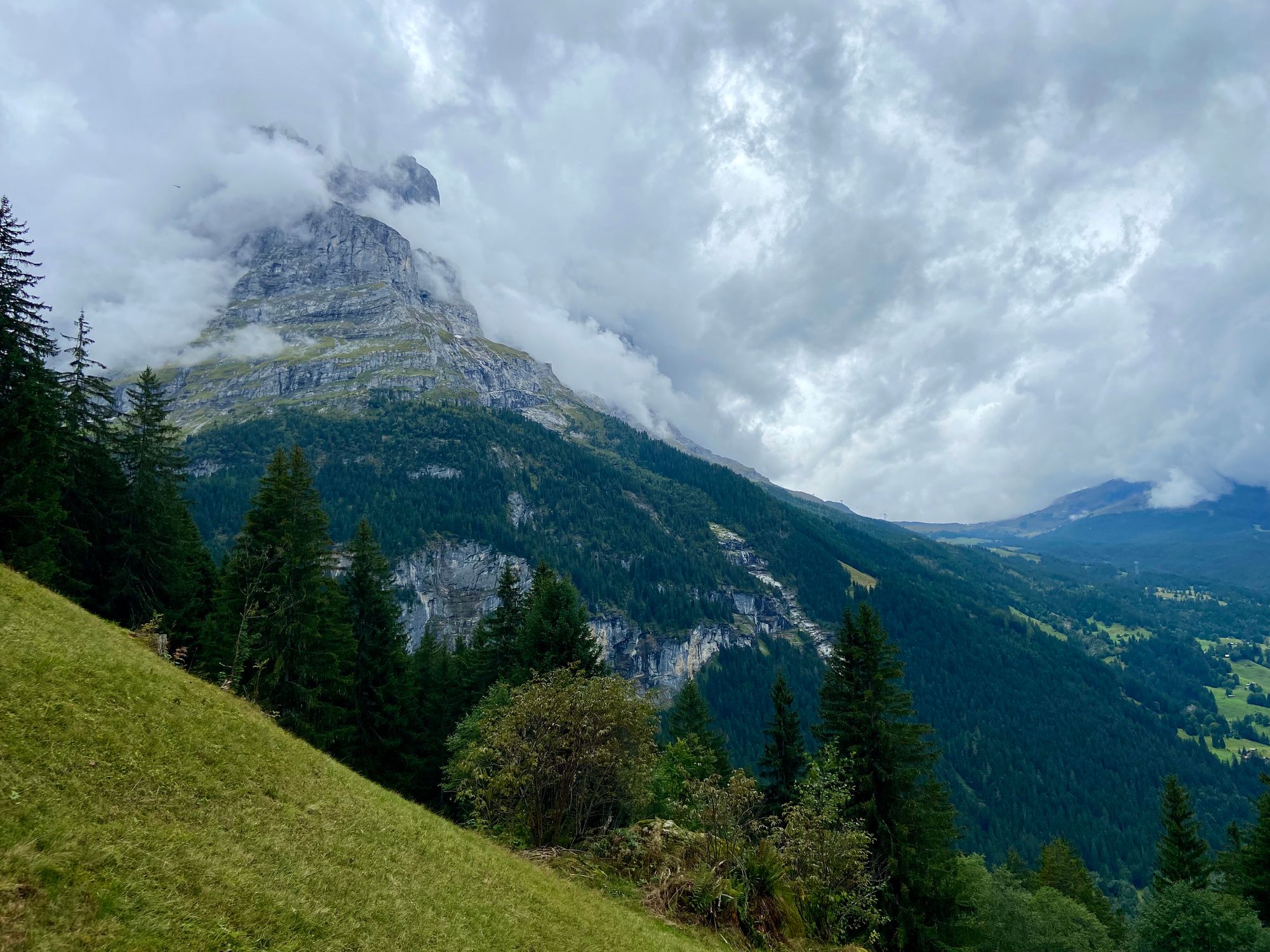 A steeply sloped grassy meadow with pine trees ahead. In the distance, a dramatic mountain peak surrounded by clouds.
